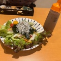 しらすとわかめの野菜サラダ - 実際訪問したユーザーが直接撮影して投稿した本町和食 / 日本料理お料理と自家製米 祝い家の写真のメニュー情報