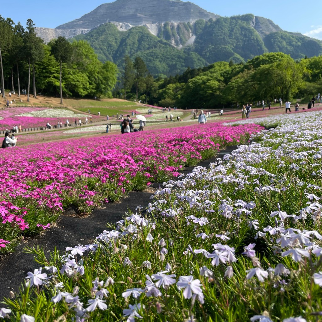 食べる子さんが投稿した大宮公園のお店羊山公園/ヒツジヤマコウエンの写真