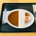 赤どり鶏かつ膳 - 実際訪問したユーザーが直接撮影して投稿した日吉町中カレーレストラン桂川の写真のメニュー情報