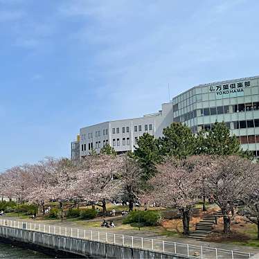 実際訪問したユーザーが直接撮影して投稿した新港銭湯 / サウナ・岩盤浴万葉の湯の写真