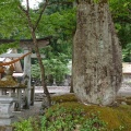 実際訪問したユーザーが直接撮影して投稿した荻町神社白川八幡神社の写真