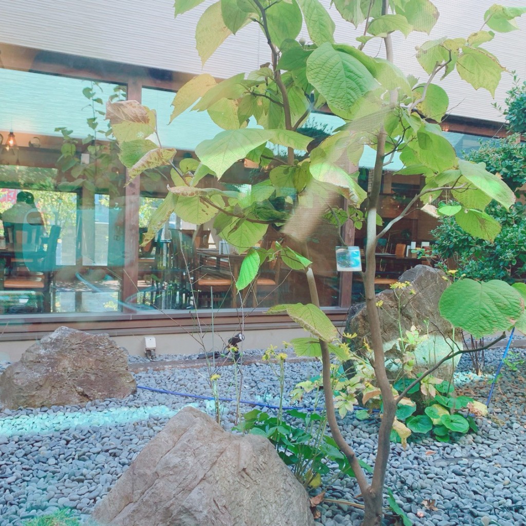 実際訪問したユーザーが直接撮影して投稿した千田町カフェ十三軒茶屋 千田店の写真