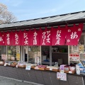 実際訪問したユーザーが直接撮影して投稿した酒折植物園 / 樹木園不老園の写真