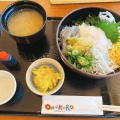 しらすの2色丼 - 実際訪問したユーザーが直接撮影して投稿した弁当 / おにぎりダイナマイトキッチンの写真のメニュー情報