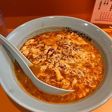 実際訪問したユーザーが直接撮影して投稿した白山ラーメン / つけ麺元祖ニュータンタンメン本舗 鴨居店の写真