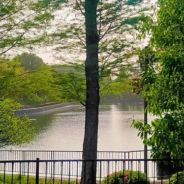実際訪問したユーザーが直接撮影して投稿した桃山台湖沼 / 池春日大池の写真