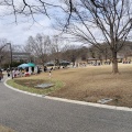 実際訪問したユーザーが直接撮影して投稿した牛牧公園小幡緑地 本園 の写真