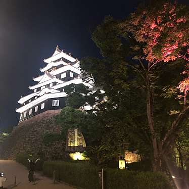 実際訪問したユーザーが直接撮影して投稿した丸の内城 / 城跡岡山城の写真