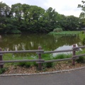 実際訪問したユーザーが直接撮影して投稿した菊名公園菊名池公園の写真