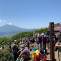 実際訪問したユーザーが直接撮影して投稿した山 / 峠金時山の写真