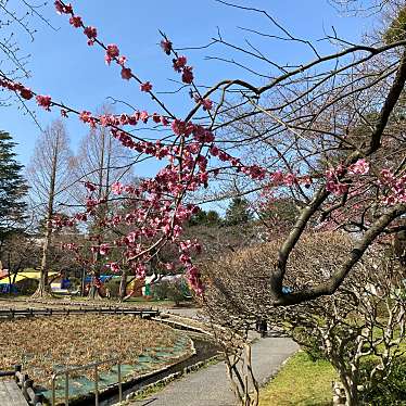 鶴岡公園のundefinedに実際訪問訪問したユーザーunknownさんが新しく投稿した新着口コミの写真