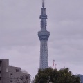 実際訪問したユーザーが直接撮影して投稿した亀戸神社亀戸天神社の写真