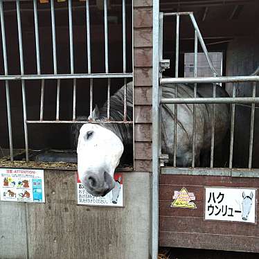 実際訪問したユーザーが直接撮影して投稿した西十三条南動物園ふれあい動物園の写真