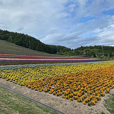 実際訪問したユーザーが直接撮影して投稿した山 / 峠北星山の写真