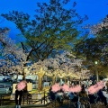 実際訪問したユーザーが直接撮影して投稿した三崎町公園三崎水辺公園の写真