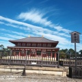 実際訪問したユーザーが直接撮影して投稿した登大路町寺興福寺の写真