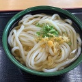 実際訪問したユーザーが直接撮影して投稿した弘田町うどん製麺七や 弘田店の写真