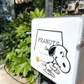 実際訪問したユーザーが直接撮影して投稿した神宮前カフェPEANUTS Cafe SUNNY SIDE kitchenの写真