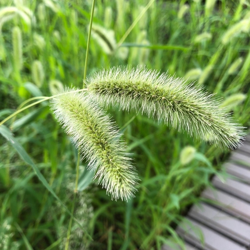 実際訪問したユーザーが直接撮影して投稿した若葉町公園ぎんどろ公園の写真