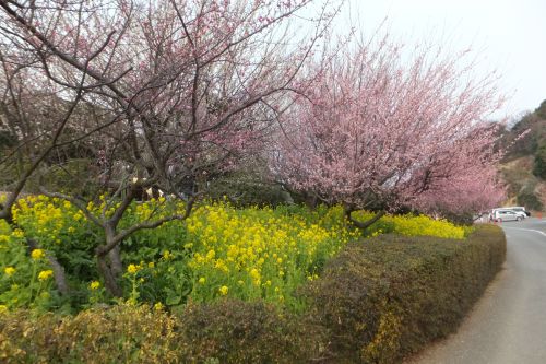 実際訪問したユーザーが直接撮影して投稿した御津町岩見公園萬景園の写真