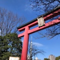 実際訪問したユーザーが直接撮影して投稿した亀戸地域名所亀戸天神社 鳥居の写真