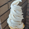 ソフトクリーム - 実際訪問したユーザーが直接撮影して投稿した山門町カフェえいこく屋パーラーの写真のメニュー情報