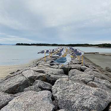 実際訪問したユーザーが直接撮影して投稿した一色町佐久島島佐久島の写真