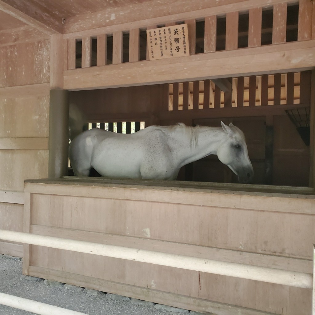 実際訪問したユーザーが直接撮影して投稿した本町うどん外苑の写真