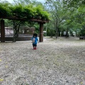 実際訪問したユーザーが直接撮影して投稿した仲ノ町公園打吹公園の写真