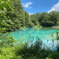 実際訪問したユーザーが直接撮影して投稿した桧原地域名所五色沼の写真