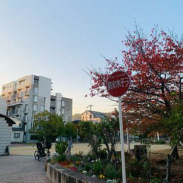 実際訪問したユーザーが直接撮影して投稿した大桝町公園大桝公園の写真