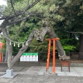 実際訪問したユーザーが直接撮影して投稿した下新田神社玉村八幡宮の写真