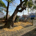 実際訪問したユーザーが直接撮影して投稿した頃末北神社伊豆神社の写真