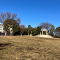 実際訪問したユーザーが直接撮影して投稿した相模大野公園相模大野中央公園の写真