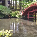 実際訪問したユーザーが直接撮影して投稿した朝熊町寺金剛證寺の写真