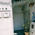 実際訪問したユーザーが直接撮影して投稿した内幸町ビストロaozoraの写真