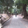 実際訪問したユーザーが直接撮影して投稿した神明神社神明皇大神宮の写真