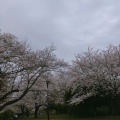 実際訪問したユーザーが直接撮影して投稿した和田山公園本牧山頂公園の写真