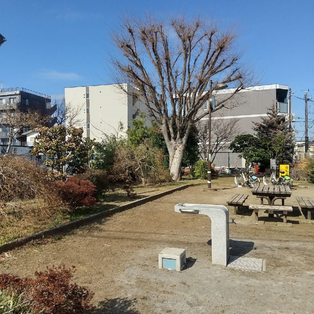 実際訪問したユーザーが直接撮影して投稿した大泉学園町公園西長久保緑地の写真