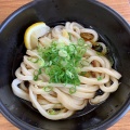 ぶっかけうどん - 実際訪問したユーザーが直接撮影して投稿した土器町東うどん本格手打ちうどん つづみの写真のメニュー情報