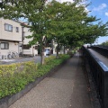 実際訪問したユーザーが直接撮影して投稿した中葛西散策路新川遊歩道の写真