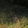 実際訪問したユーザーが直接撮影して投稿した淵町公園稲佐山公園の写真