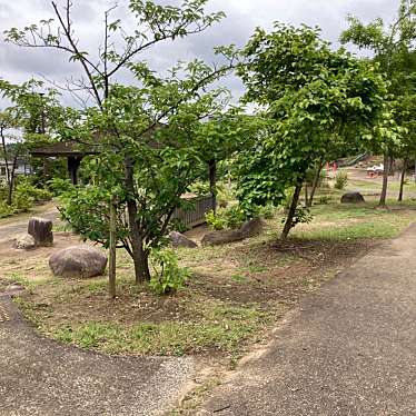 実際訪問したユーザーが直接撮影して投稿したおゆみ野南公園千葉市おゆみ野南公園の写真
