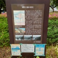 実際訪問したユーザーが直接撮影して投稿した横浜公園公園横浜公園の写真