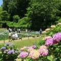 実際訪問したユーザーが直接撮影して投稿した本郷町善入寺庭園三景園の写真