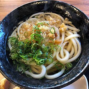 実際訪問したユーザーが直接撮影して投稿した東山崎町うどんこだわり麺や フレスポ高松店の写真