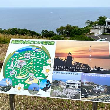 実際訪問したユーザーが直接撮影して投稿した血ヶ平公園越前岬水仙ランドの写真