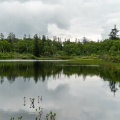 実際訪問したユーザーが直接撮影して投稿した湖沼 / 池神仙沼の写真
