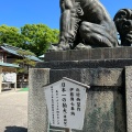 実際訪問したユーザーが直接撮影して投稿した藤方神社結城神社の写真