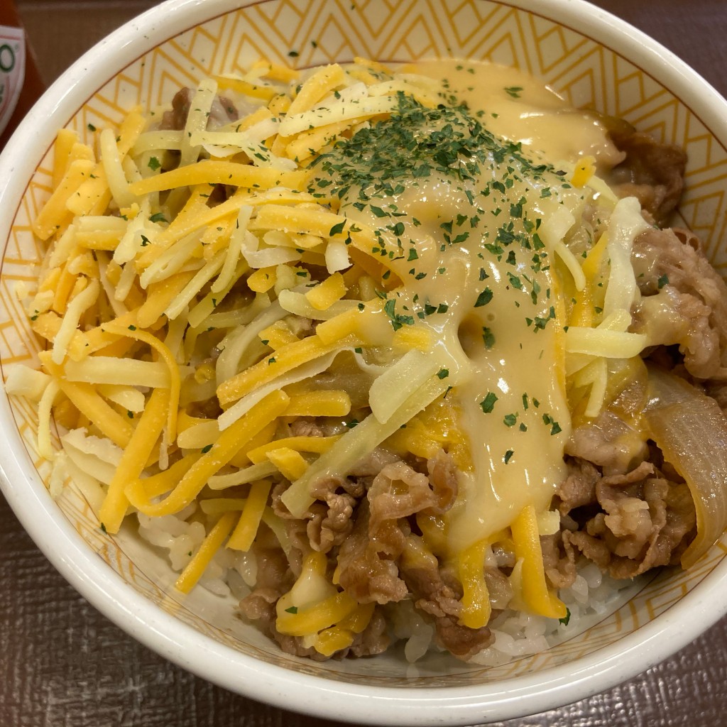 ユーザーが投稿した牛丼並の写真 - 実際訪問したユーザーが直接撮影して投稿した大路牛丼すき家 1国草津大路店の写真